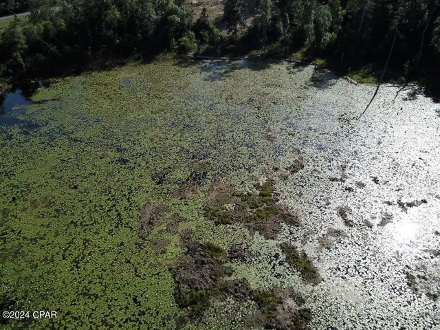 $32,900 | Tbd Vancouver Drive, Alford, FL 32420