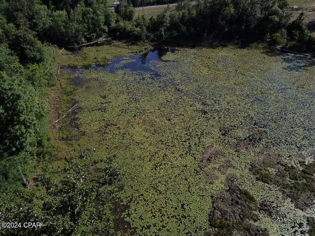 $32,900 | Tbd Vancouver Drive, Alford, FL 32420