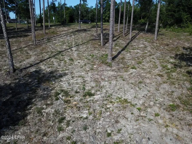 $32,900 | Tbd Vancouver Drive, Alford, FL 32420