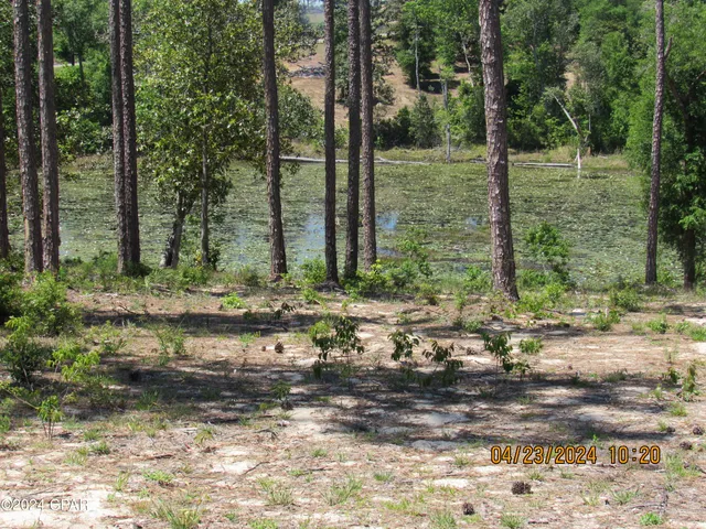 $32,900 | Tbd Vancouver Drive, Alford, FL 32420