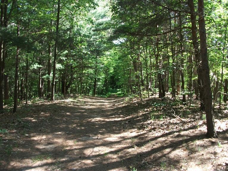 5068 Brickyard Road Twin Lake, MI 49457 - Photo 15 of 24 Additional Photo