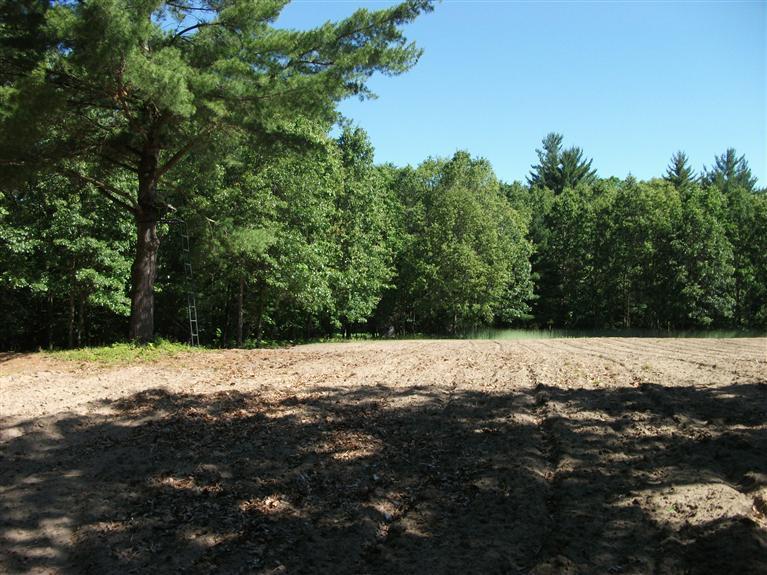 5068 Brickyard Road Twin Lake, MI 49457 - Photo 17 of 24 Additional Photo