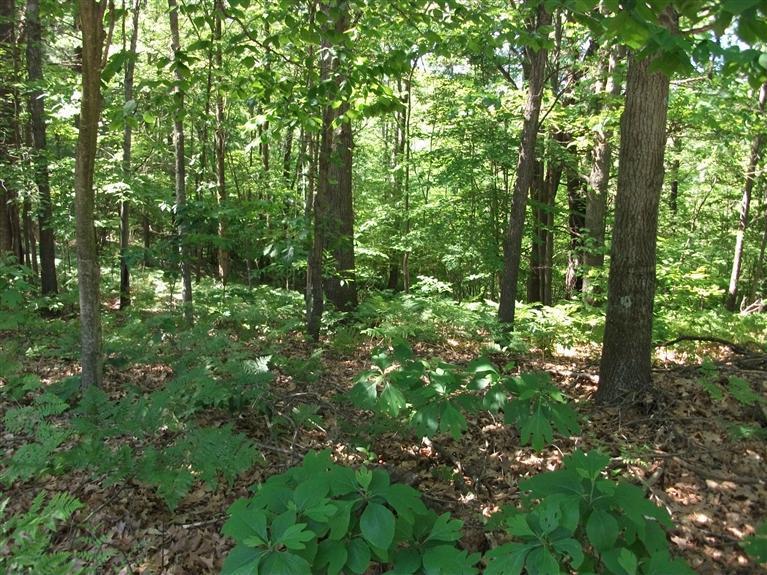 5068 Brickyard Road Twin Lake, MI 49457 - Photo 18 of 24 Additional Photo