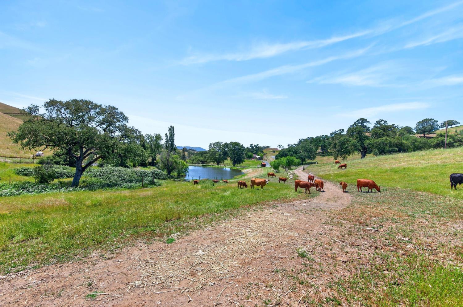 7570 Airola Road Vallecito, CA 95251 - Photo 4 of 90 a view of a park with large trees and couches