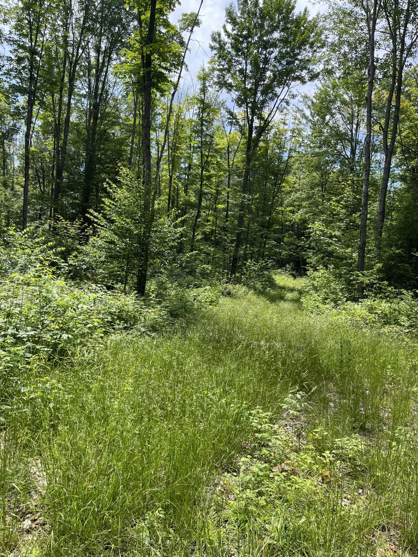 0 South Chesbrough Lake Road Newberry, MI 49868 - Photo 3 of 4 Gallery Image 3