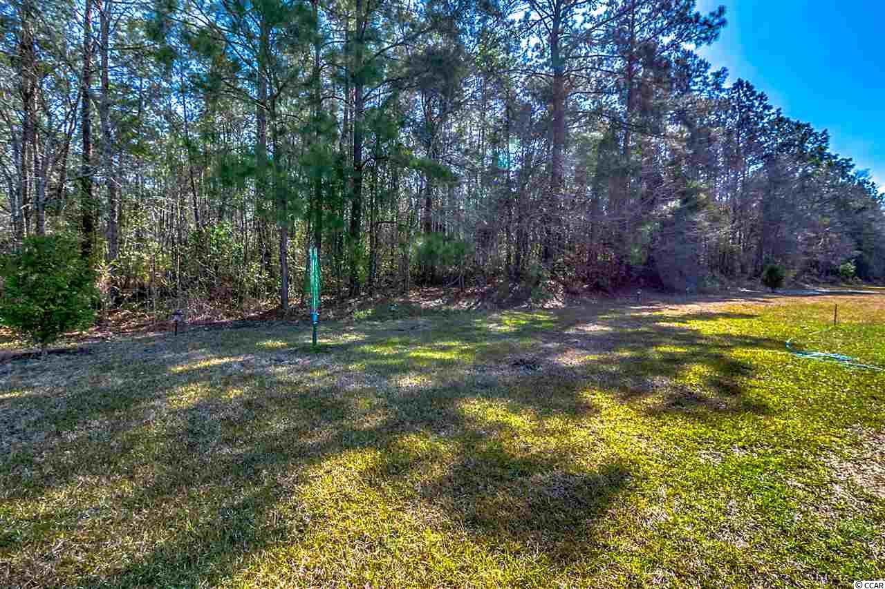 4100 Ridgewood Drive Conway, SC 29526 - Photo 22 of 23 Gallery Image 22