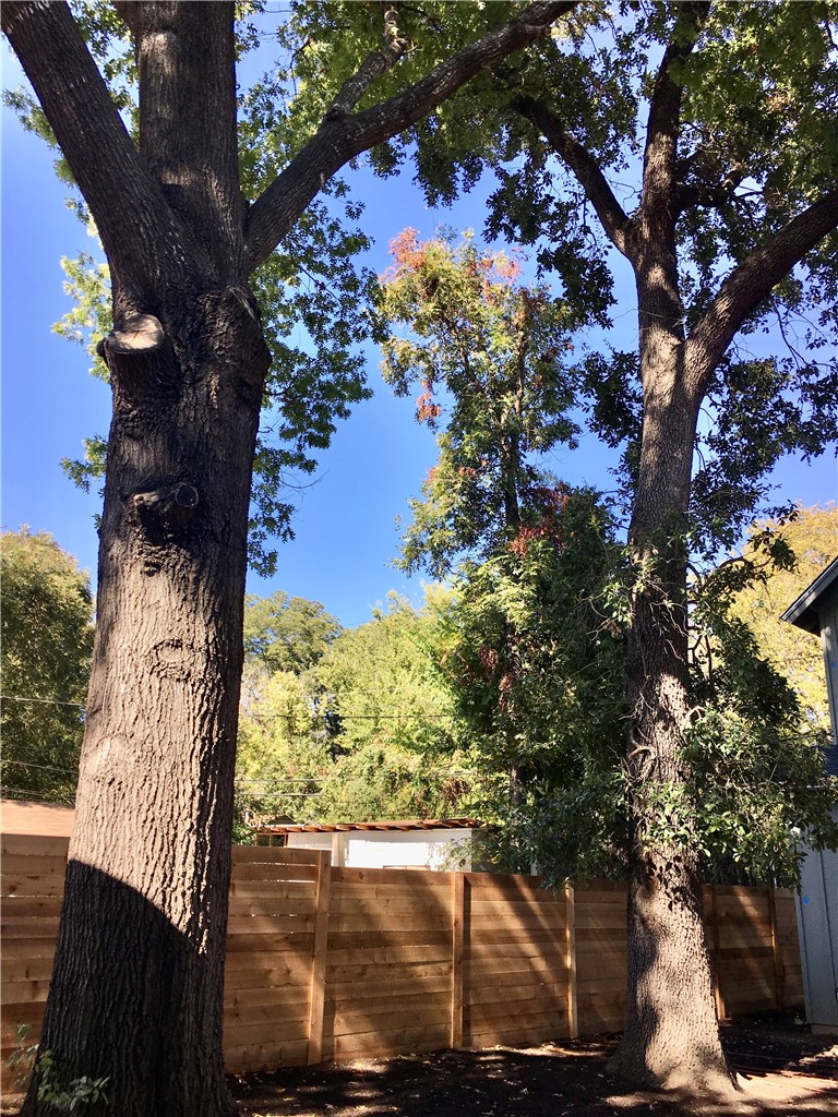 1806 Haskell Street, Unit 2 Austin, TX 78702 - Photo 3 of 24