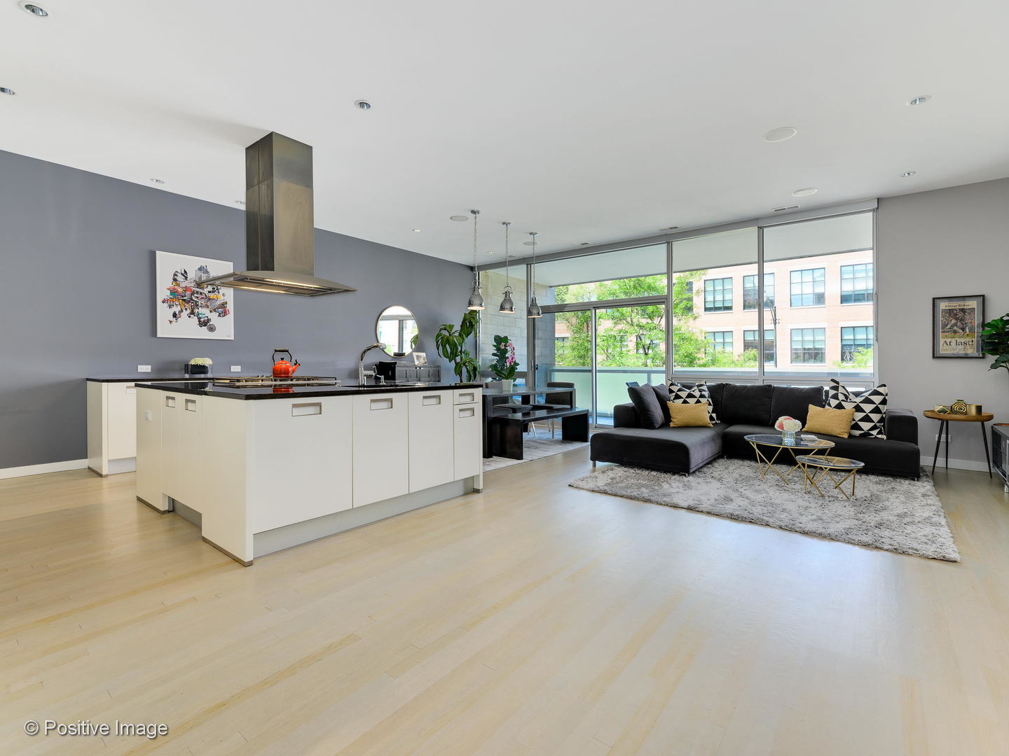 1711 West Division Street, Unit 203 Chicago, IL 60622 - Photo 4 of 28