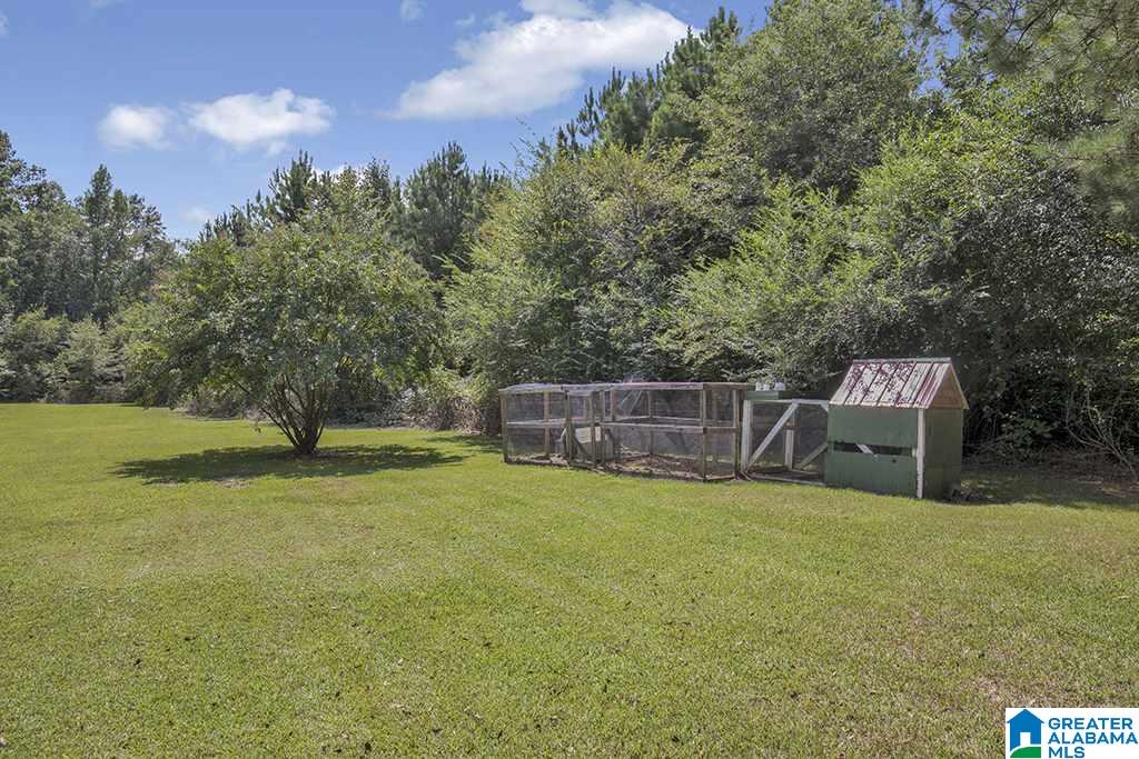 700 Greensport Road Ashville, AL 35953 - Photo 4 of 23