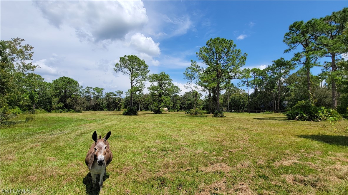 4374 Loblolly Bay Road Southwest LaBelle, FL 33935 - Photo 6 of 35 Gallery Image 6