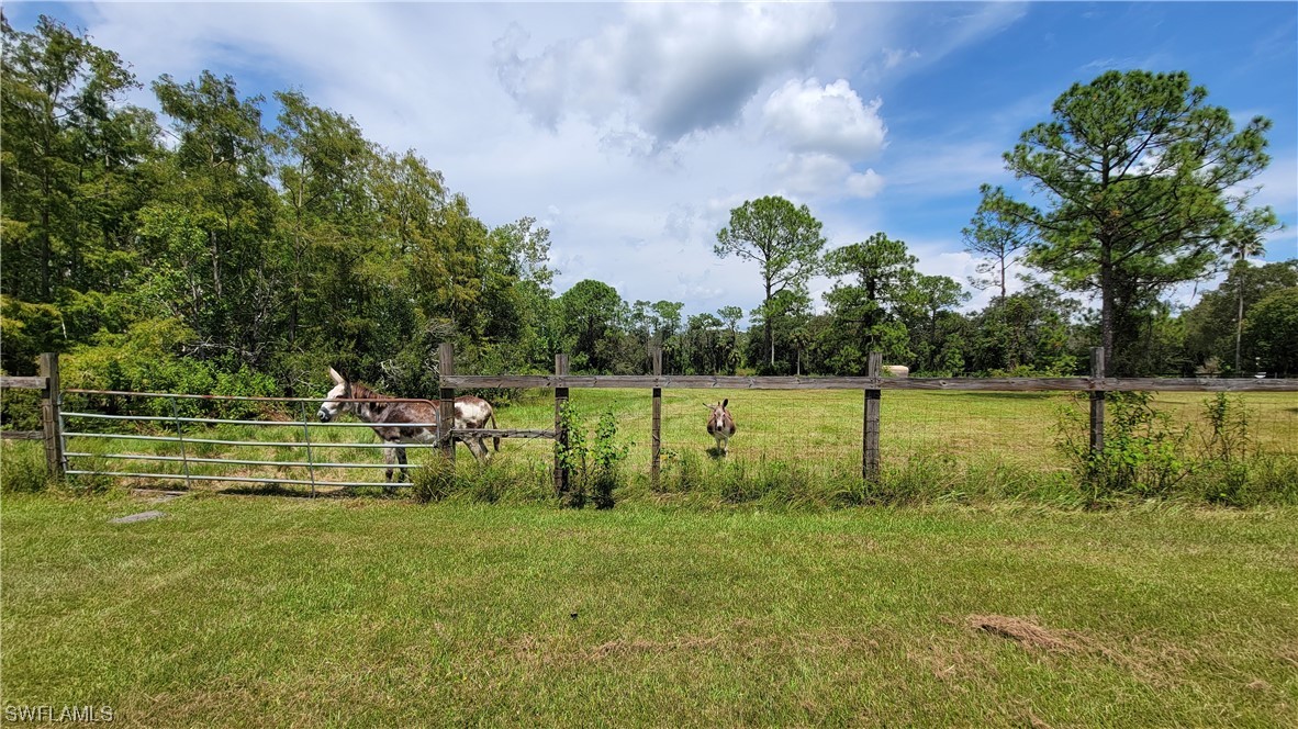 4374 Loblolly Bay Road Southwest LaBelle, FL 33935 - Photo 8 of 35 Gallery Image 8