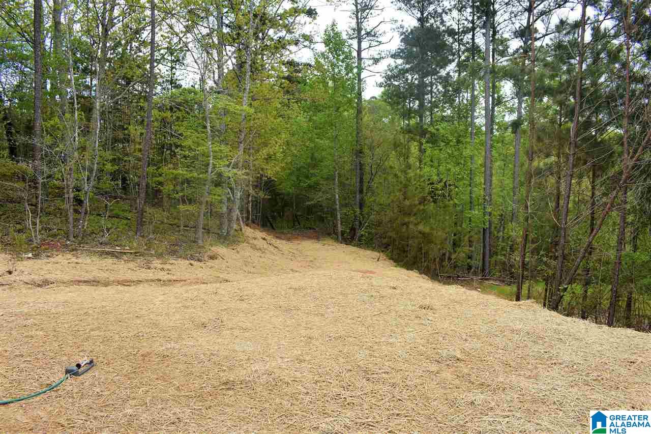 237 Kingbird Lane Remlap, AL 35133 - Photo 18 of 31