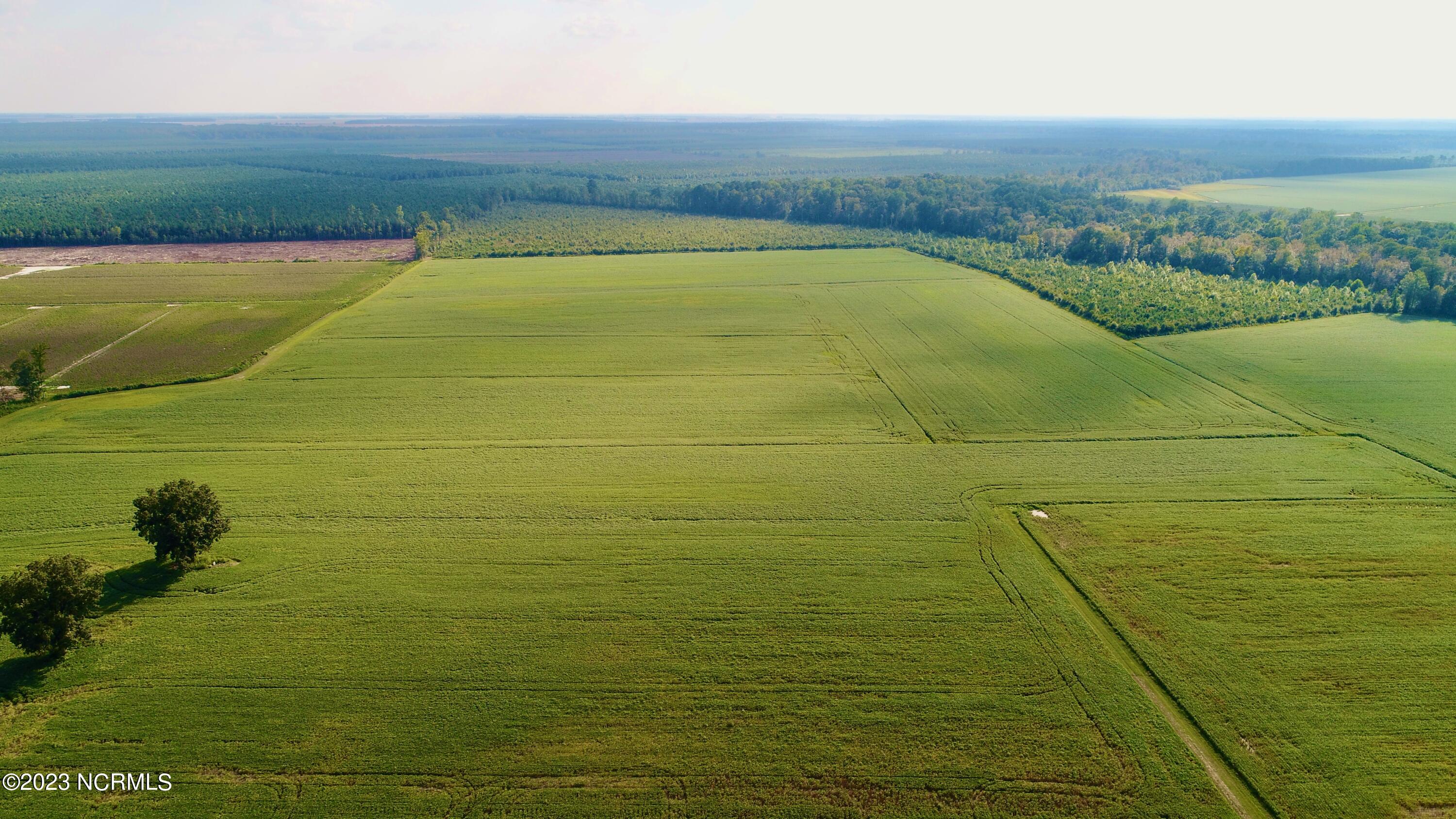 2334 West Millpond Road Roper, NC 27970 - Photo 7 of 52 DJI_0668