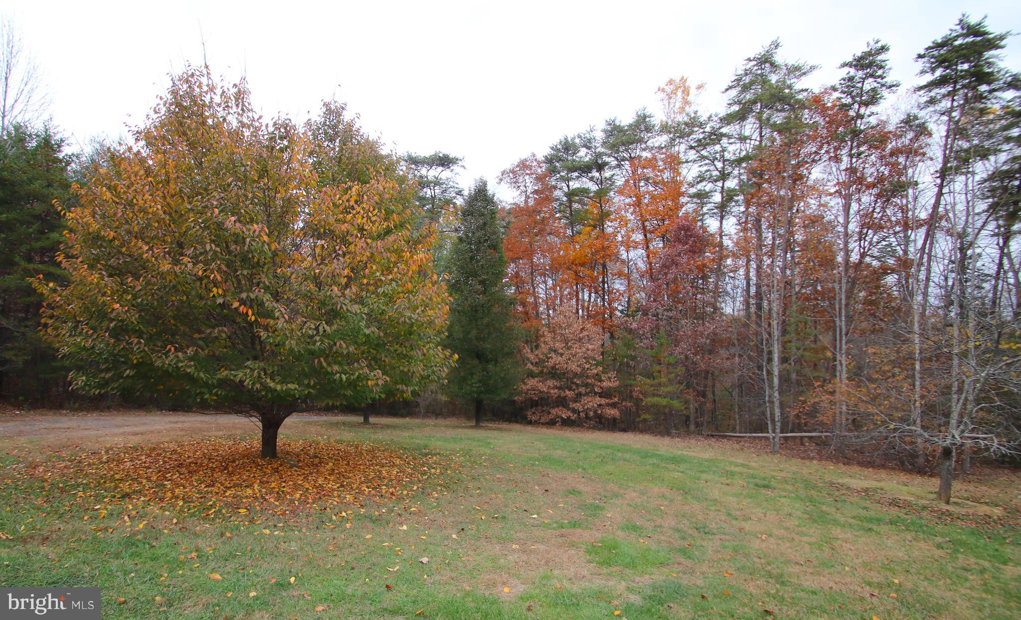 11475 Alum Springs Road Culpeper, VA 22701 - Photo 12 of 13 Gallery Image 12