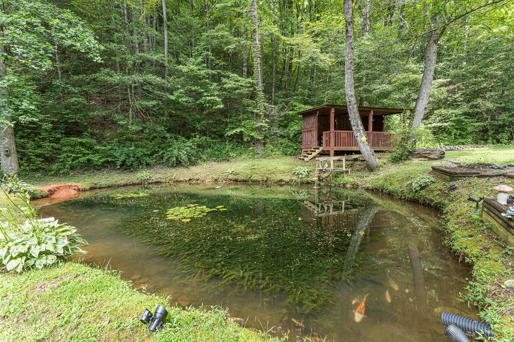 210 Pendergrass Road Marble, NC 28905 - Photo 41 of 71