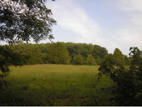 Lot 1 Happy Valley Road, Unit 1 Limestone, TN 37681 - Photo 1 of 1 Photo 1