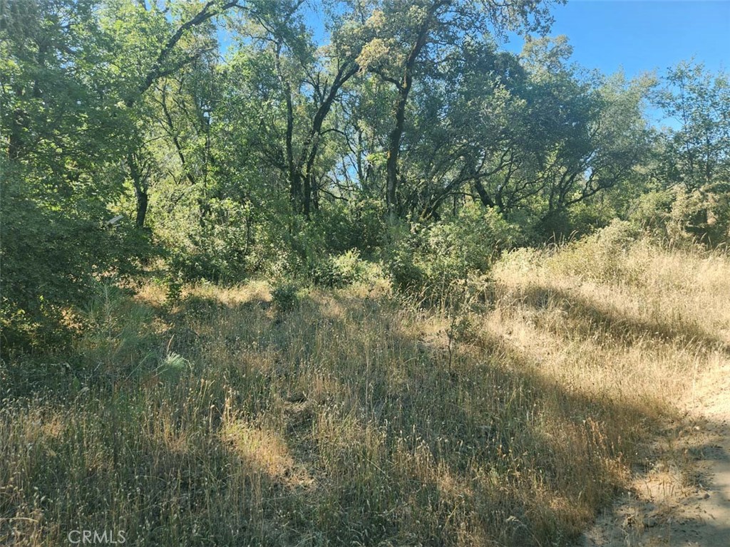047-048 Texas Hill Road Oregon House, CA 95962 - Photo 25 of 34