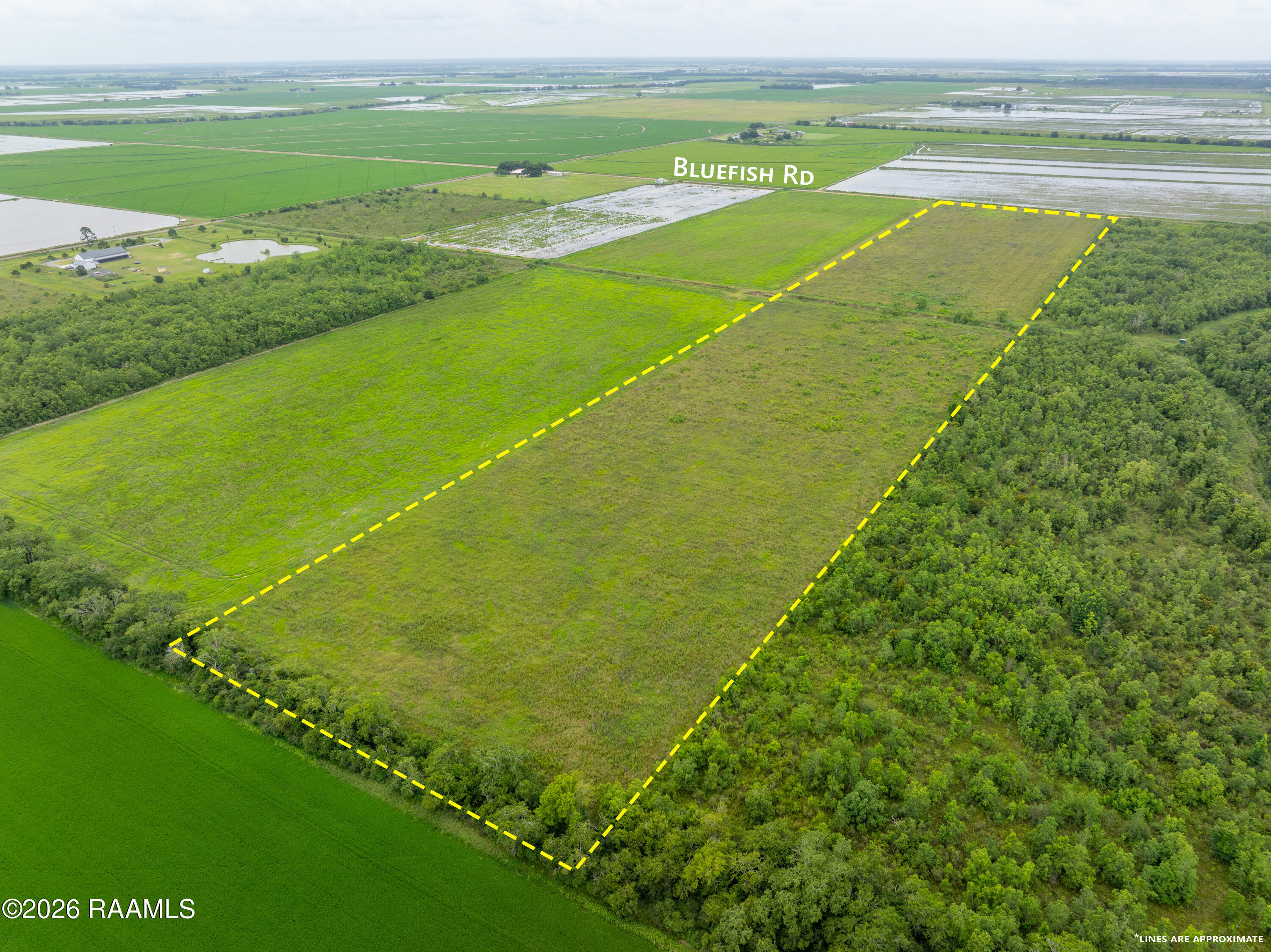 0 Bluefish Road Crowley, LA 70526 - Photo 5 of 11