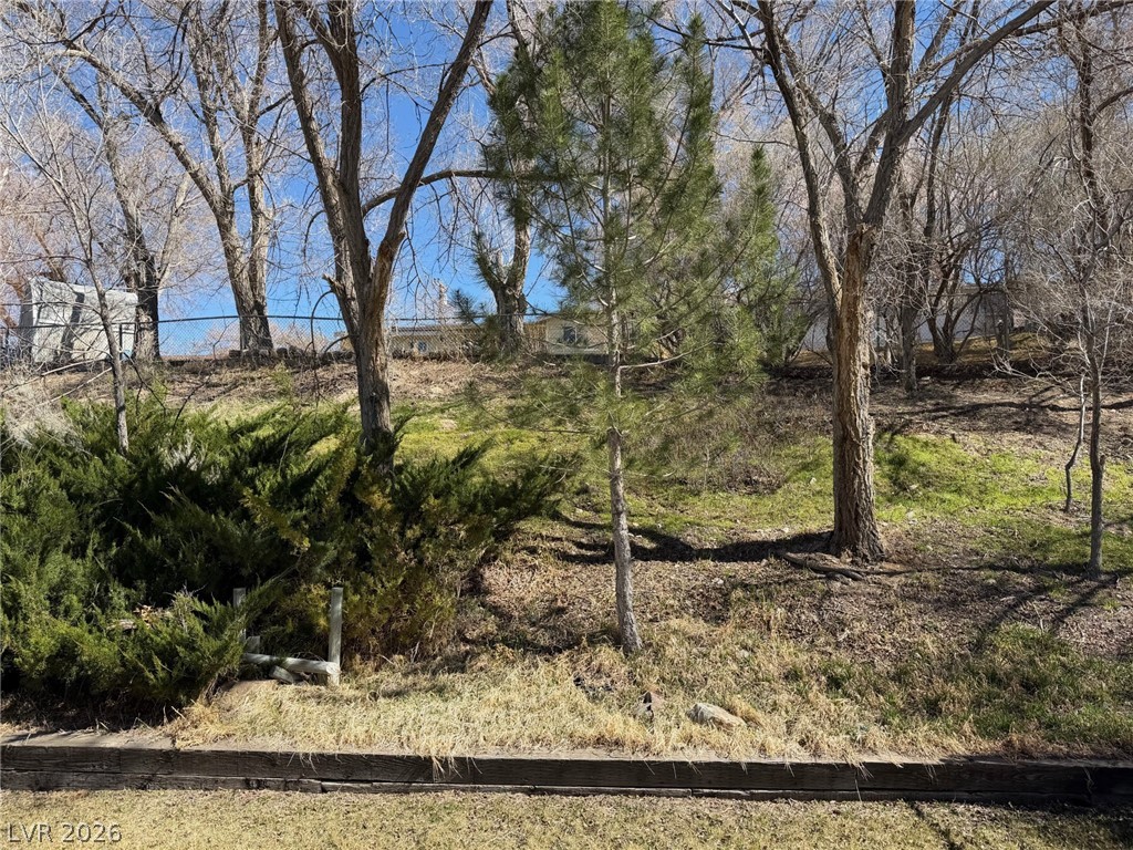 18 Nevada Road Ely, NV 89301 - Photo 4 of 20