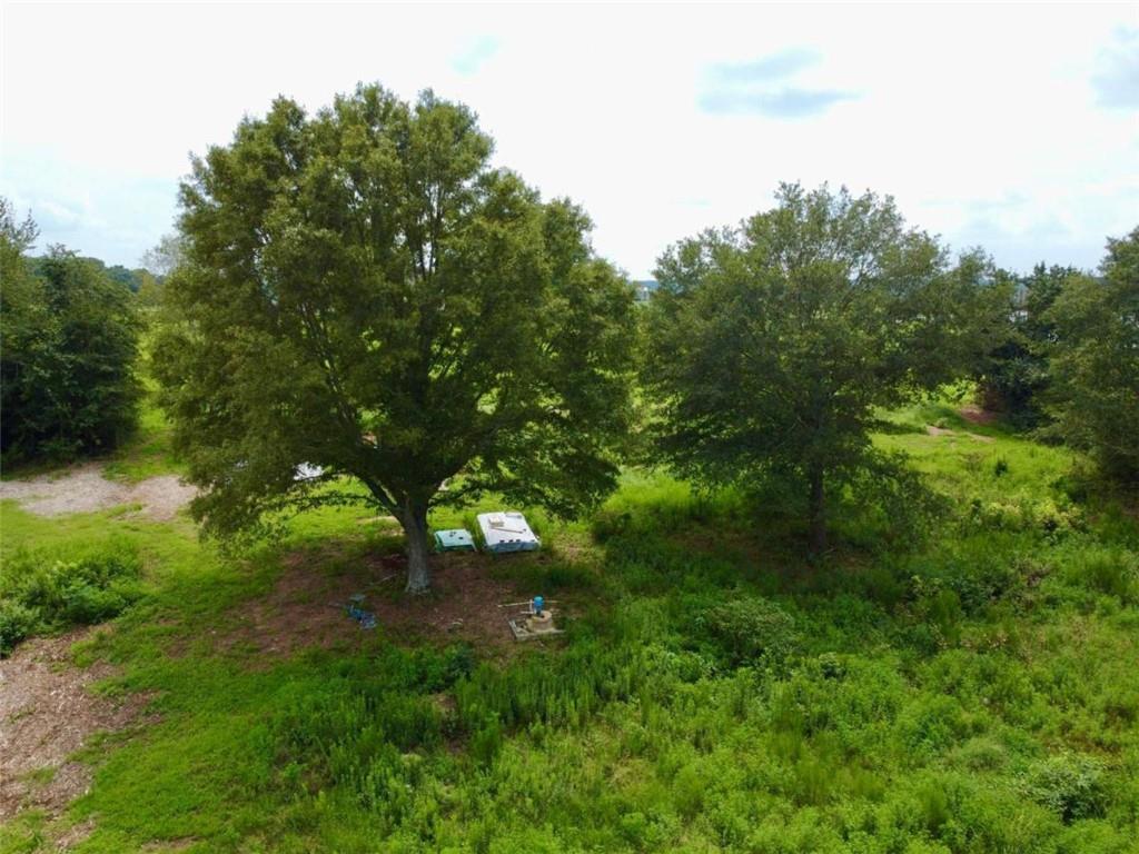 2536 Brindle Farmer Road Good Hope, GA 30641 - Photo 11 of 17 a view of a lush green space