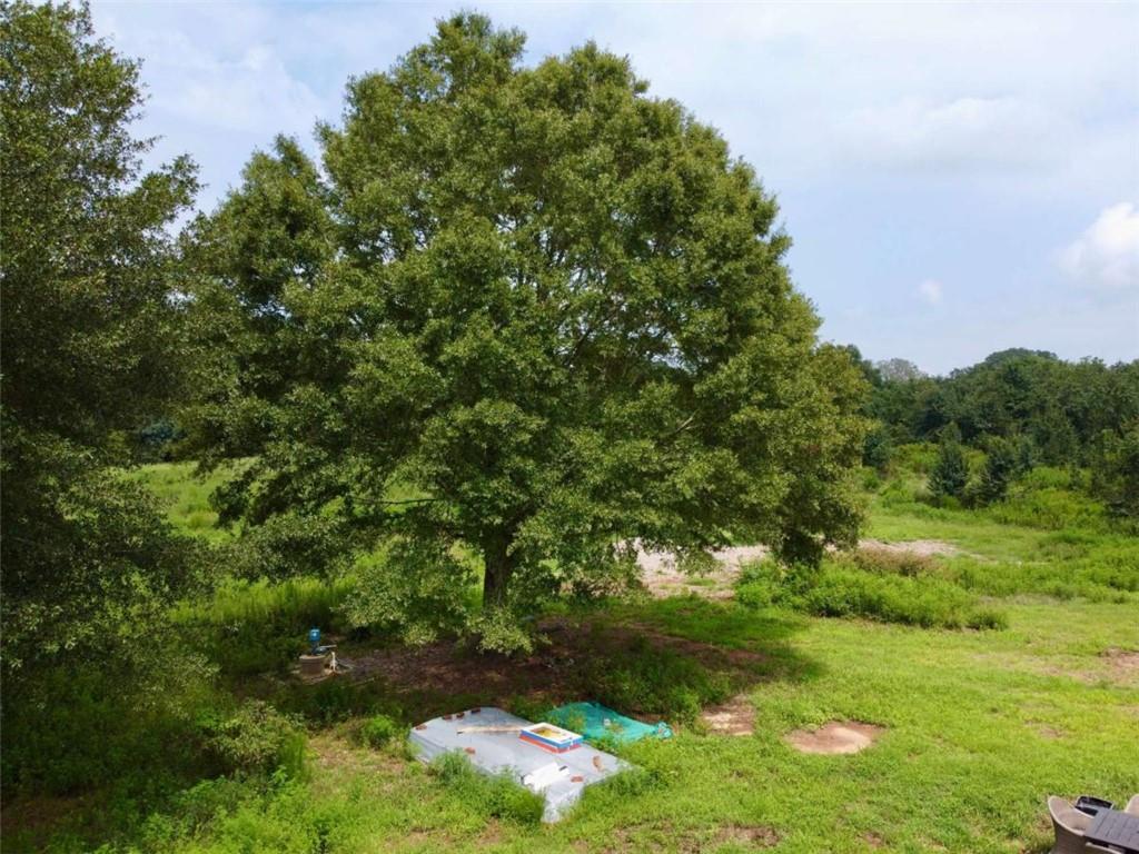 2536 Brindle Farmer Road Good Hope, GA 30641 - Photo 12 of 17 a view of backyard with green space