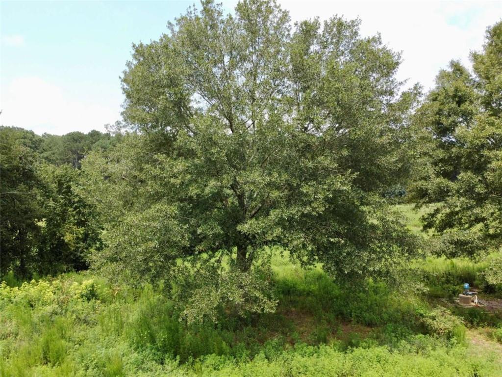 2536 Brindle Farmer Road Good Hope, GA 30641 - Photo 13 of 17 a view of a lush green forest