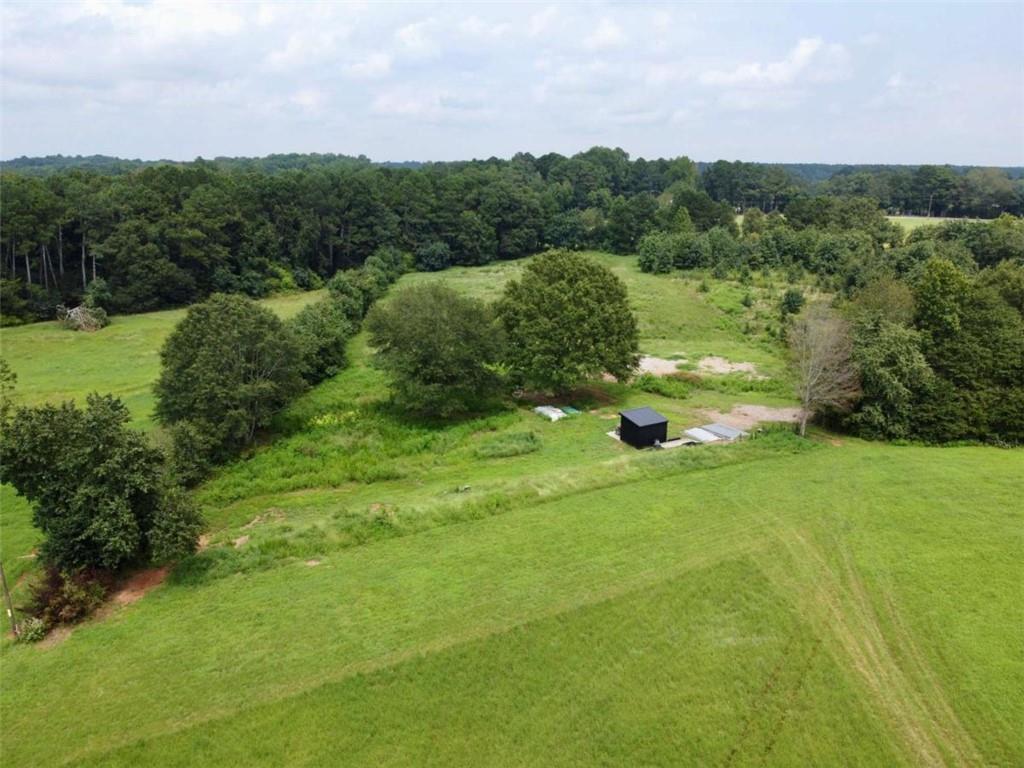 2536 Brindle Farmer Road Good Hope, GA 30641 - Photo 14 of 17 a green field with lots of green space