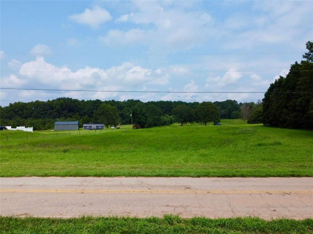 2536 Brindle Farmer Road Good Hope, GA 30641 - Photo 4 of 17 a view of yard with grass and a yard