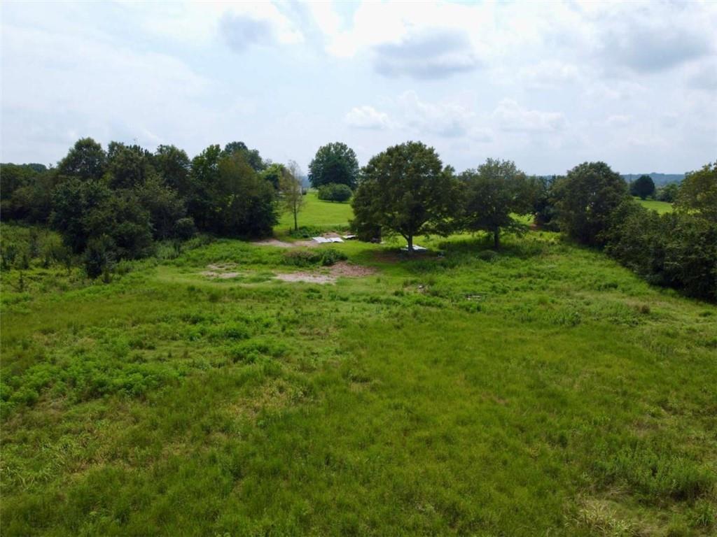 2536 Brindle Farmer Road Good Hope, GA 30641 - Photo 5 of 17 a yard with lots of green space