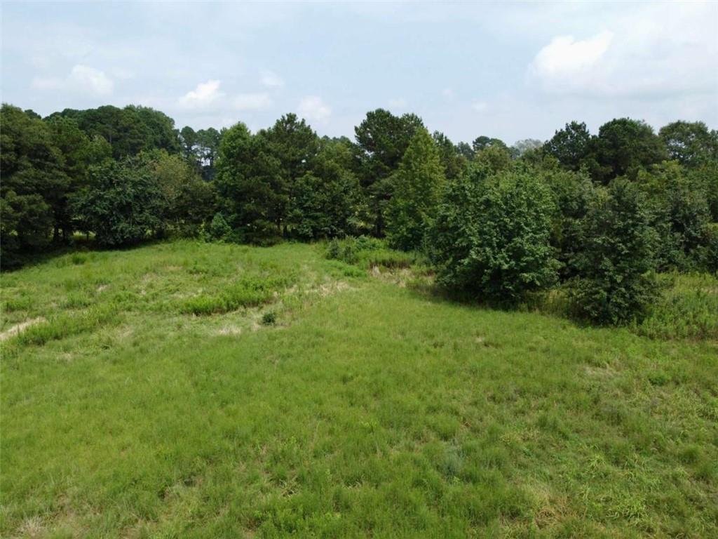 2536 Brindle Farmer Road Good Hope, GA 30641 - Photo 6 of 17 a view of a lush green space