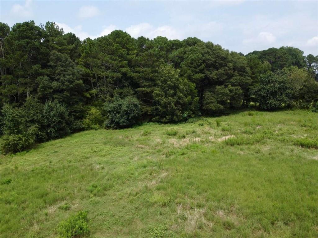 2536 Brindle Farmer Road Good Hope, GA 30641 - Photo 7 of 17 a view of a large yard with lots of green space
