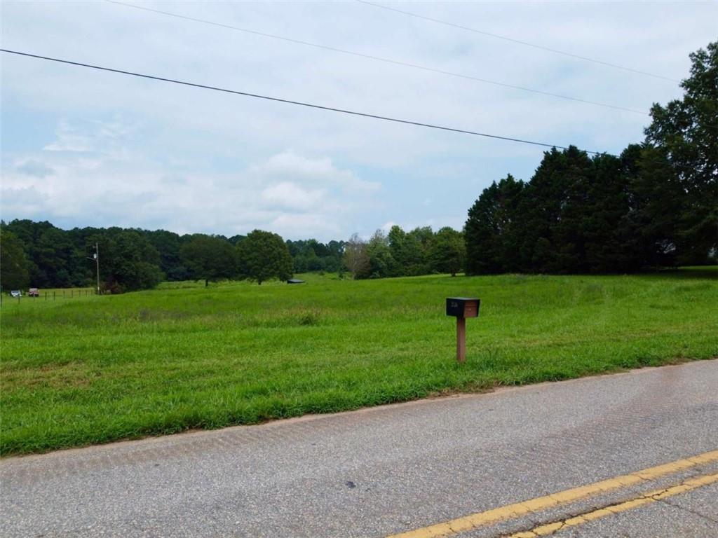 2536 Brindle Farmer Road Good Hope, GA 30641 - Photo 8 of 17 a view of a garden with large trees