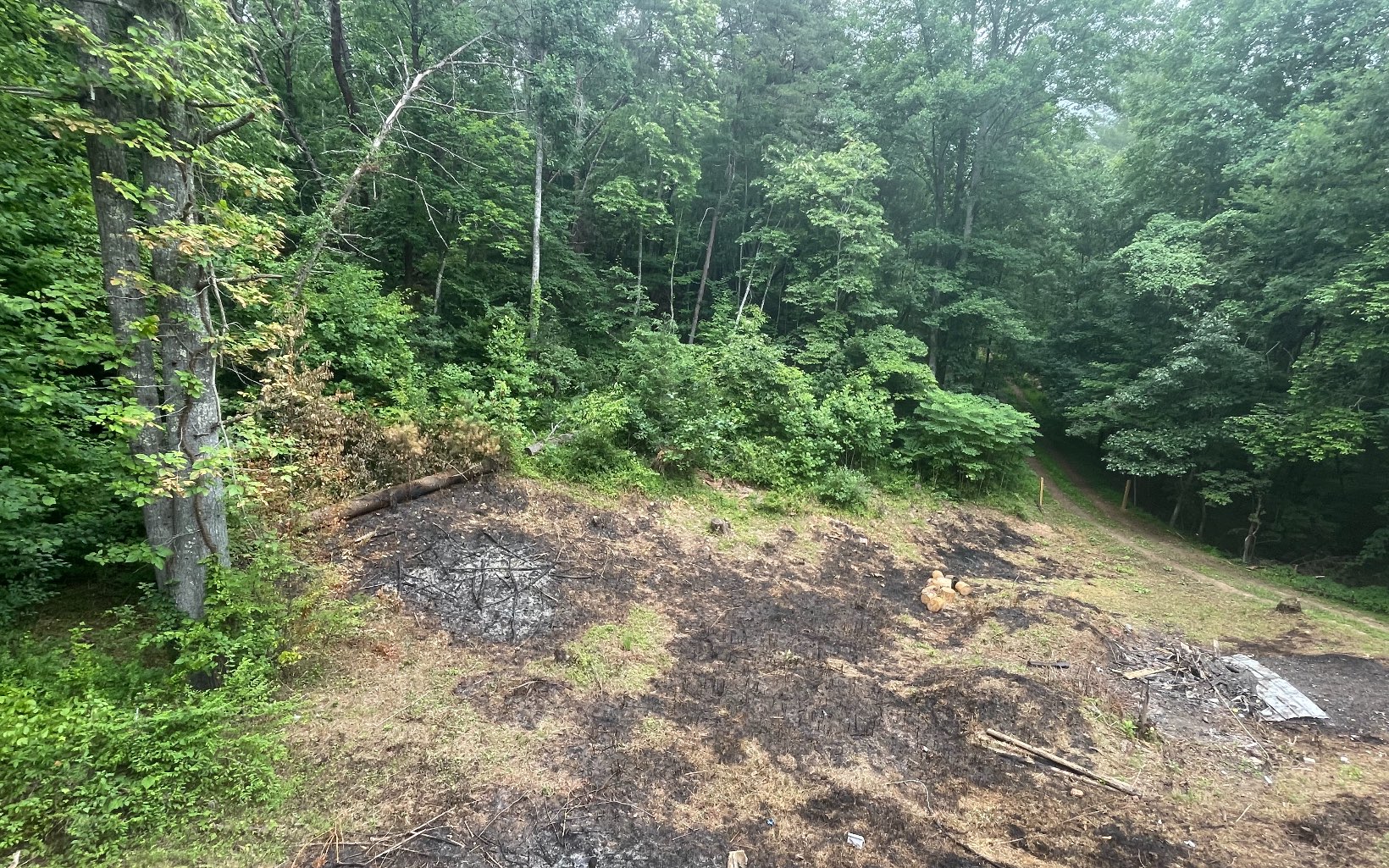 715 Ridgeview Road Morganton, GA 30560 - Photo 15 of 25 Additional View
