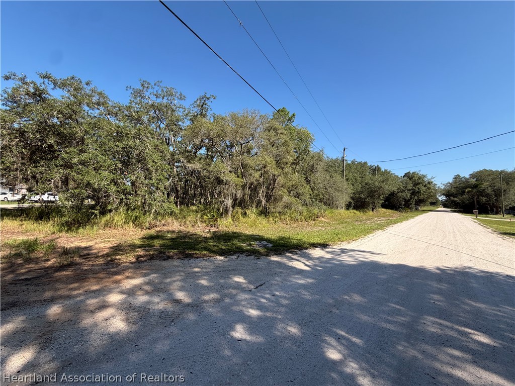 2813 North Monroe Road Avon Park, FL 33825 - Photo 4 of 5