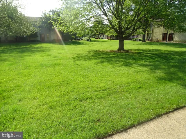 a view of a garden with a tree
