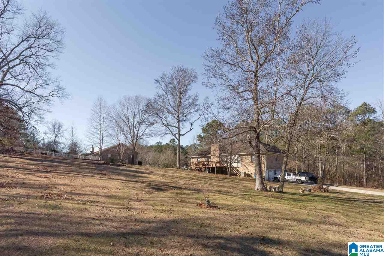 770 Red Valley Road Remlap, AL 35133 - Photo 37 of 37