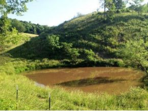 168 Lemons Road Eidson, TN 37731 - Photo 2 of 24 Photo 2
