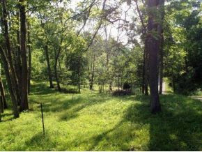 168 Lemons Road Eidson, TN 37731 - Photo 11 of 24 Photo 11