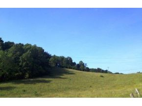 168 Lemons Road Eidson, TN 37731 - Photo 12 of 24 Photo 12