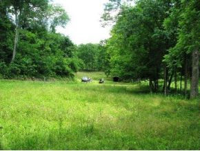 168 Lemons Road Eidson, TN 37731 - Photo 17 of 24 Photo 17