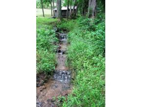 168 Lemons Road Eidson, TN 37731 - Photo 18 of 24 Photo 18