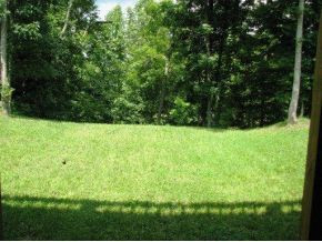 168 Lemons Road Eidson, TN 37731 - Photo 22 of 24 Photo 22
