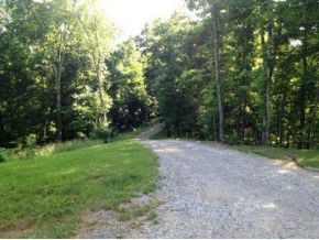 168 Lemons Road Eidson, TN 37731 - Photo 9 of 24 Photo 9