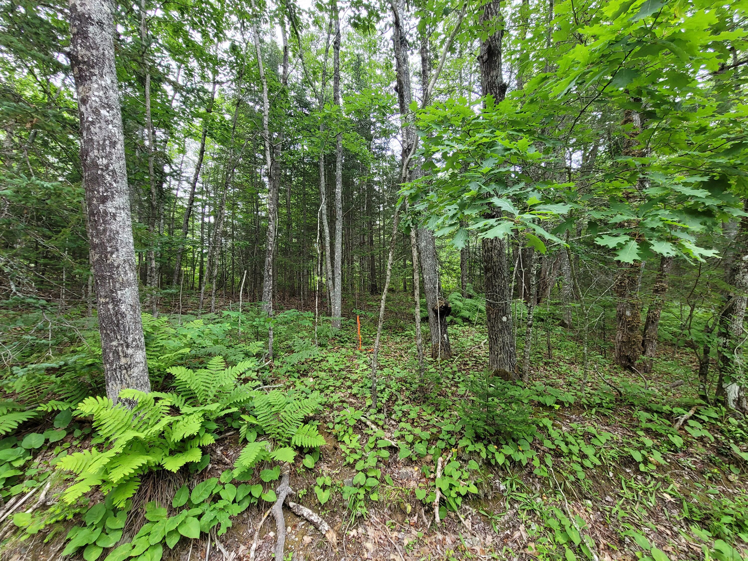 5 Matty Way Bath, ME 04530 - Photo 1 of 1 20210708_104729