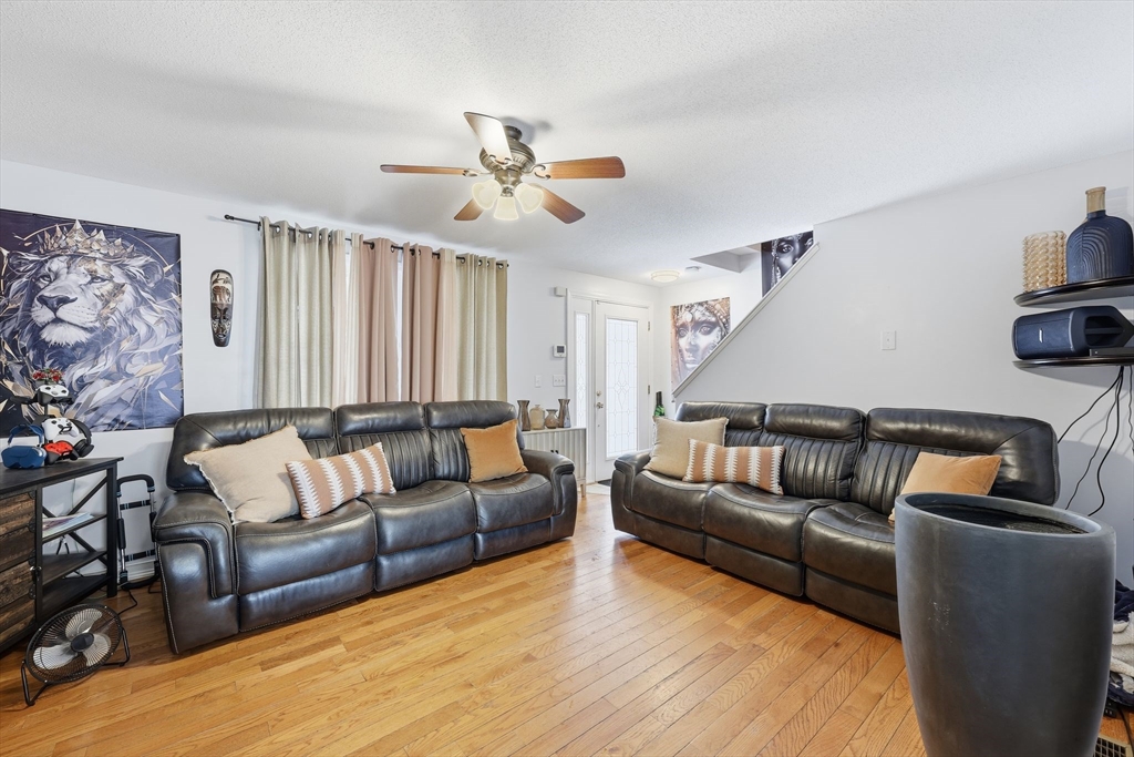 44 Border Street Springfield, MA 01104 - Photo 8 of 36 a living room with furniture and a couch