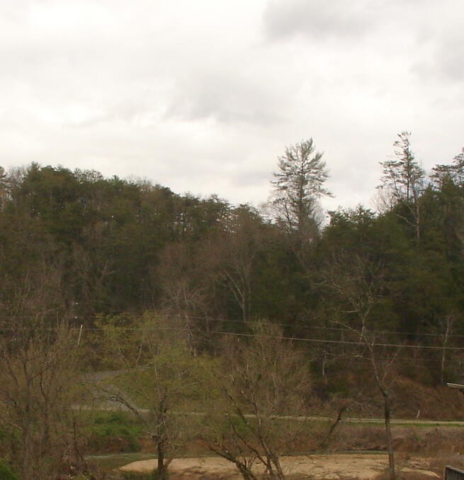 1 Jones Cove Road Sevierville, TN 37876 - Photo 5 of 12