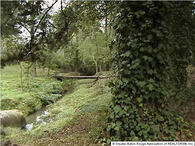 26970 4h Club Road Denham Springs, LA 70726 - Photo 2 of 8 Gallery Image 2