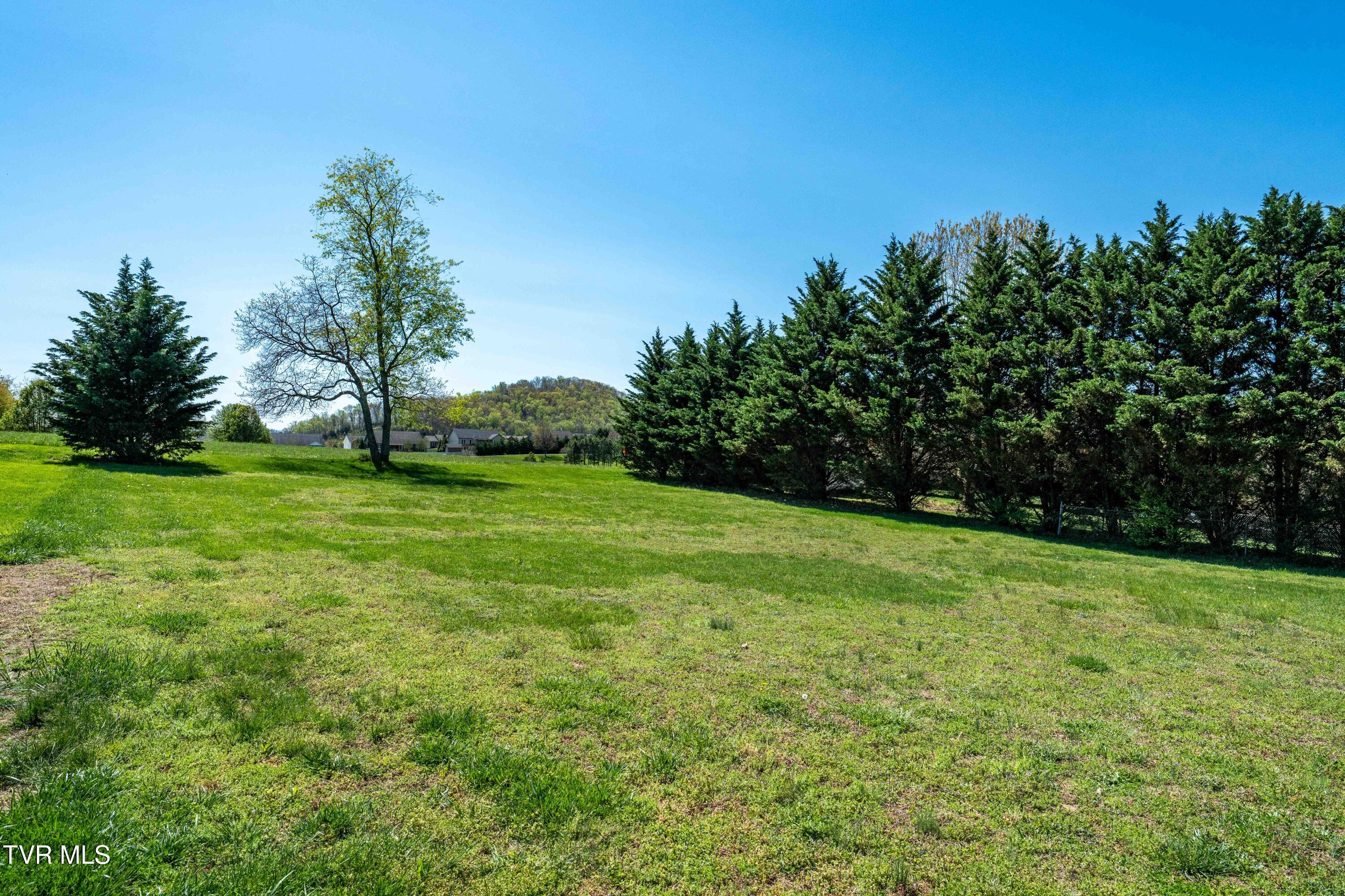 250 Douglas Chapel Road Jonesborough, TN 37659 - Photo 22 of 49 250 Douglas Chapel Rd (21 of 49)