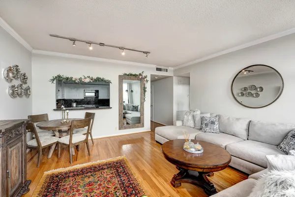 a living room with furniture a rug and kitchen view