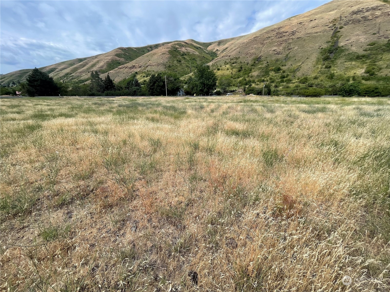 0 Tucannon Road Dayton, WA 99328 - Photo 7 of 7 a view of an outdoor space and a yard